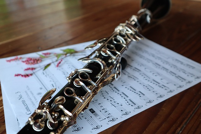 Blæs liv i din musikalitet: Sådan vælger du den rigtige klarinet